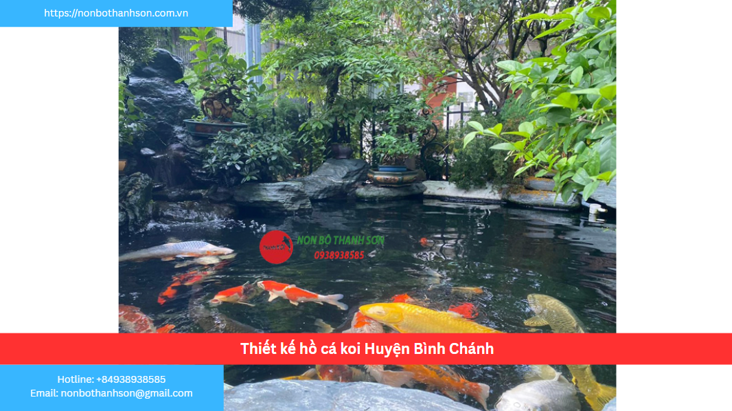 Huyện Bình Chánh – Vị trí lý tưởng để kiến tạo hồ cá Koi