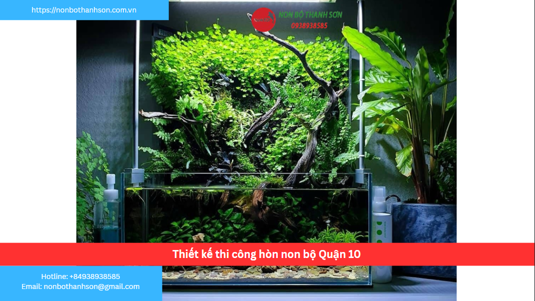 Quận 10 – Vị trí lý tưởng để kiến tạo hòn non bộ