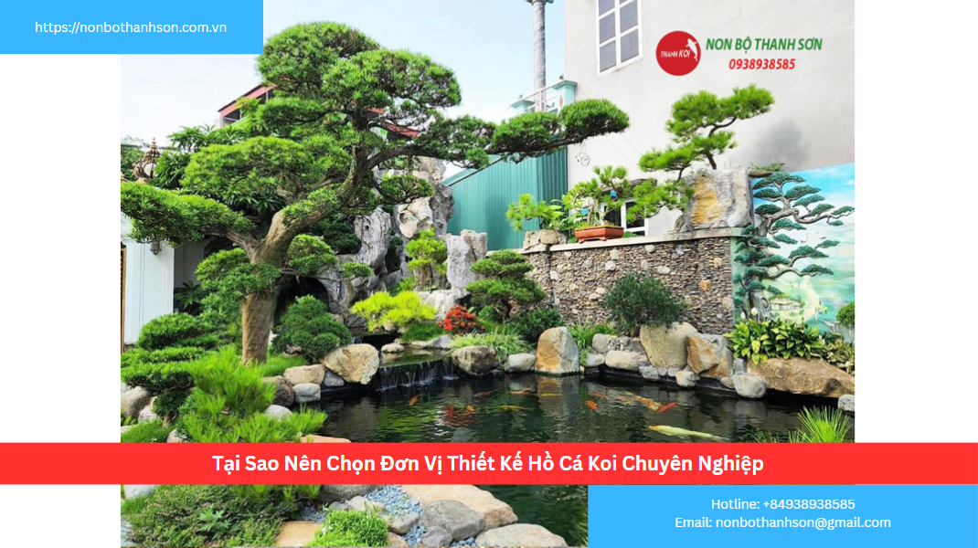 Tại Sao Cần Đơn Vị Thiết Kế Hồ Cá Koi Chuyên Nghiệp Tại Cao Bằng?