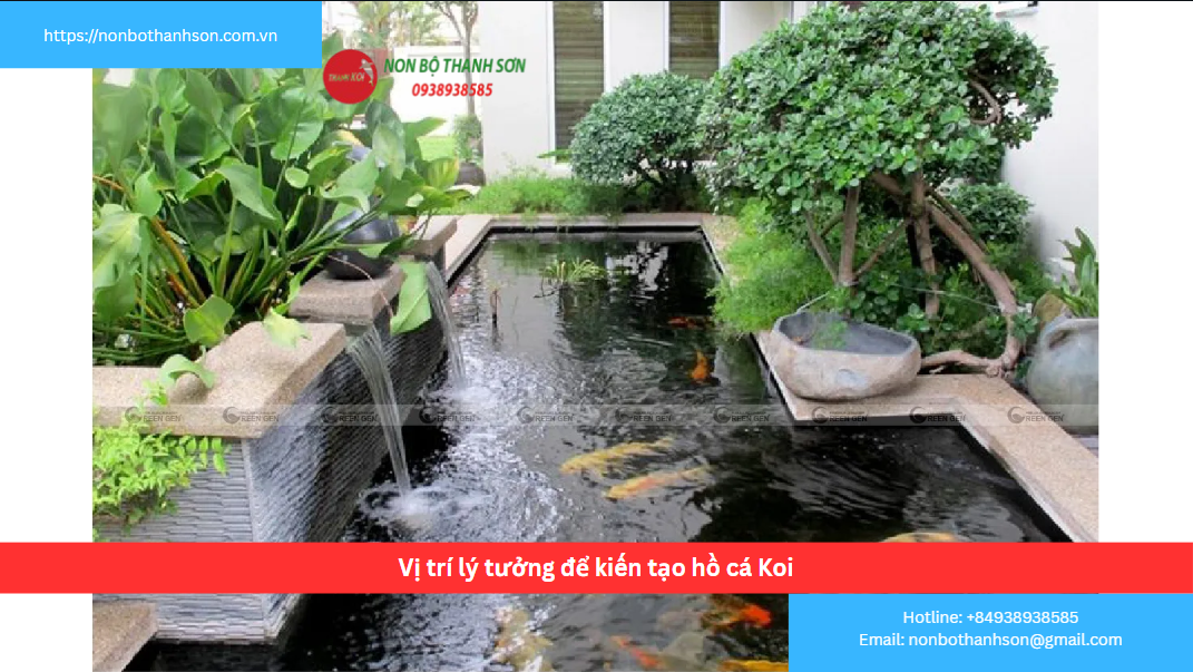 An Giang – Vị trí lý tưởng để kiến tạo hồ cá Koi