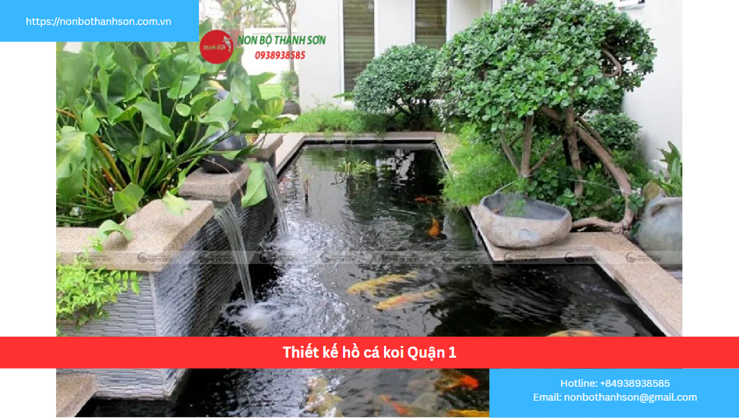 Thiết kế hồ cá koi Quận 1