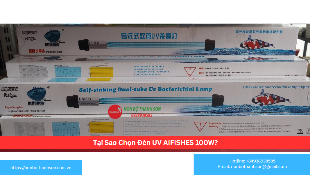 Tại Sao Chọn Đèn UV AIFISHES 100W?
