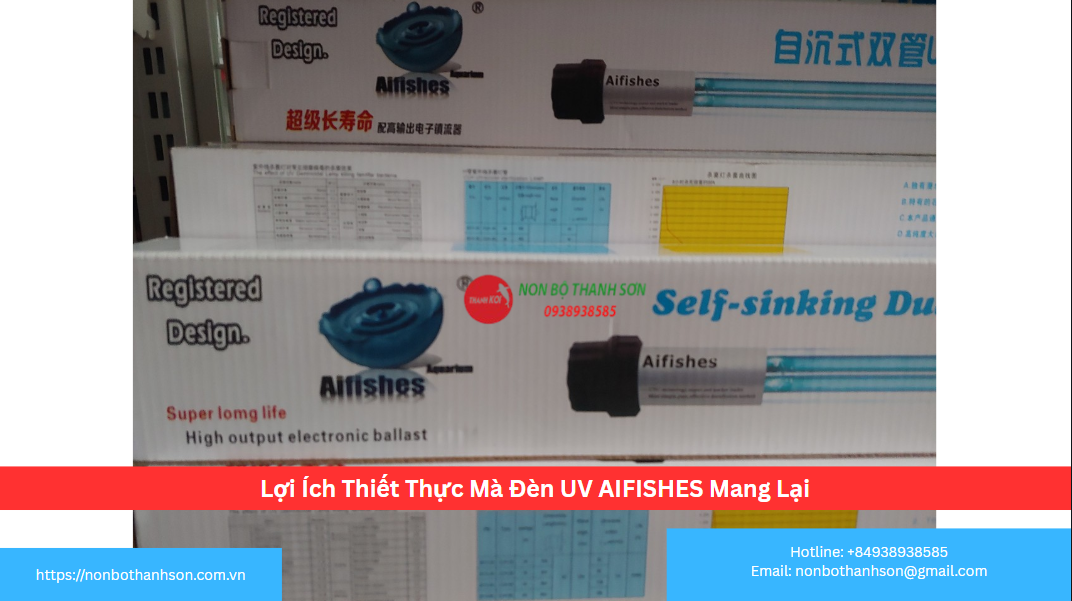 Vì Sao Nên Chọn Đèn UV AIFISHES 55W-60W Cho Hồ Lớn?