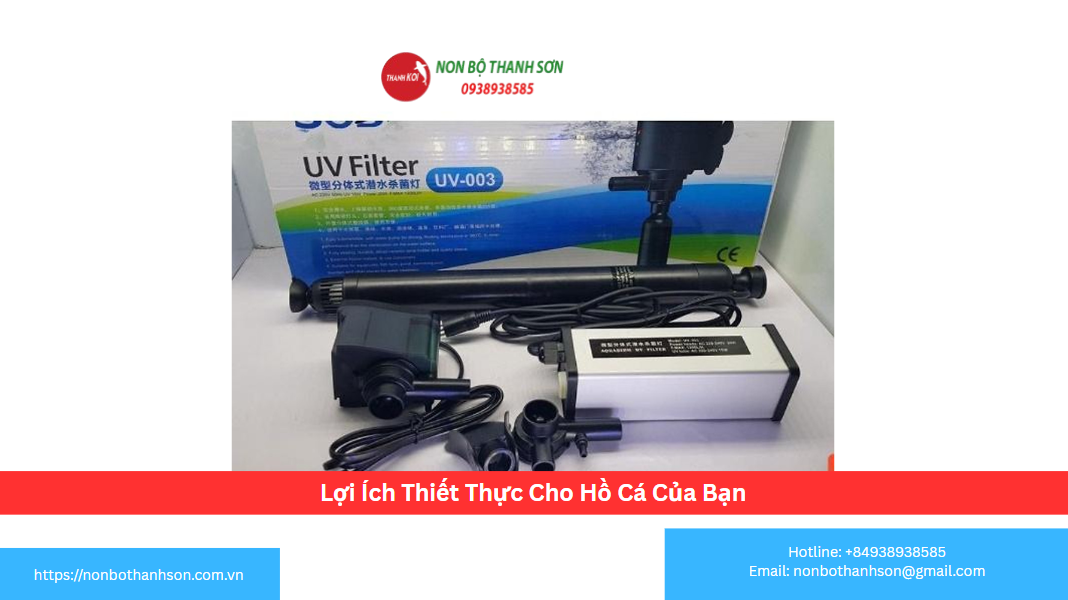 Lợi Ích Thiết Thực Cho Hồ Cá Của Bạn