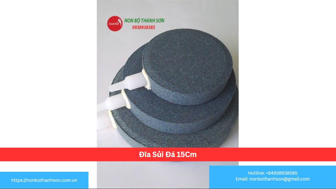 Đĩa Sủi Đá 15cm: "Lá Phổi" Mạnh Mẽ Cho Hồ Cá Cỡ Vừa và Lớn