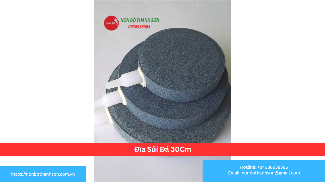 Đĩa Sủi Đá 30Cm