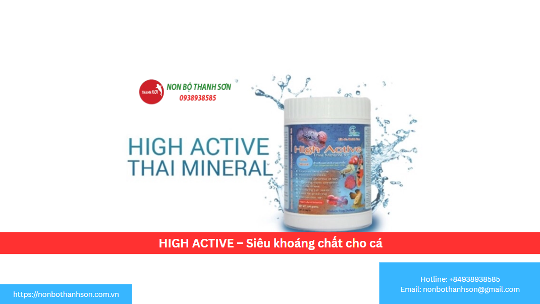 HIGH ACTIVE: Bí Quyết "Vàng" Bổ Sung Siêu Khoáng Chất Cho Cá Koi Khỏe Đẹp Toàn Diện