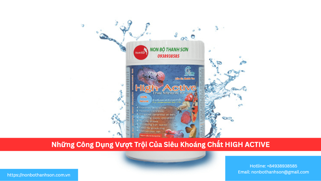 Những Công Dụng Vượt Trội Của Siêu Khoáng Chất HIGH ACTIVE