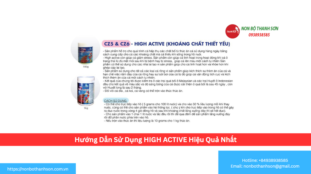 Hướng Dẫn Sử Dụng HIGH ACTIVE Hiệu Quả Nhất