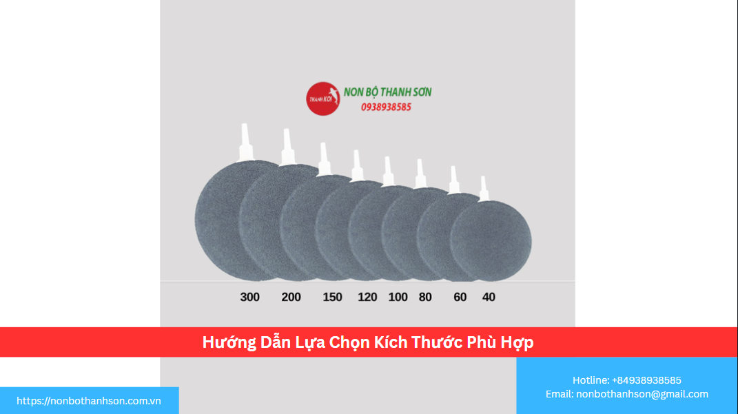 Hướng Dẫn Lựa Chọn Kích Thước Phù Hợp