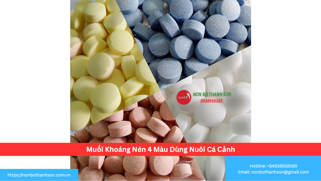 Muối Khoáng Nén 4 Màu: "Vitamin Tổng Hợp" Cho Bể Cá Cảnh Khỏe Mạnh Toàn Diện