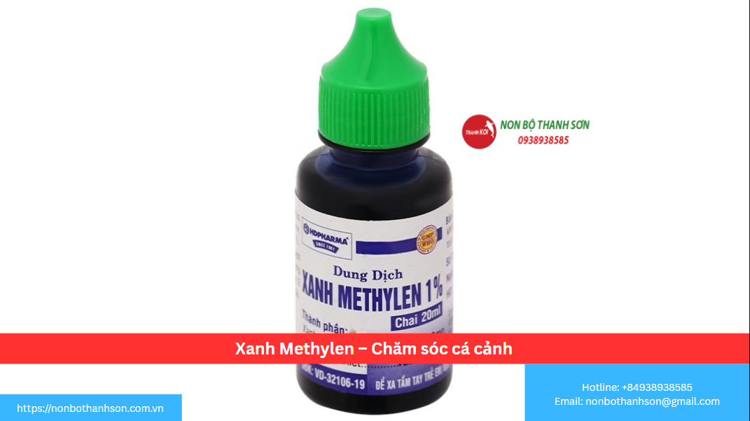 Xanh Methylen: "Thần Dược" Không Thể Thiếu Trong Tủ Thuốc Của Mọi Người Chơi Cá Cảnh