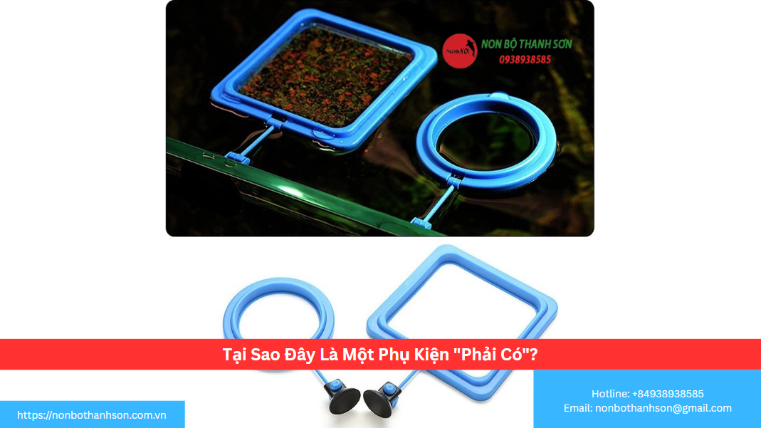 Tại Sao Đây Là Một Phụ Kiện "Phải Có"?