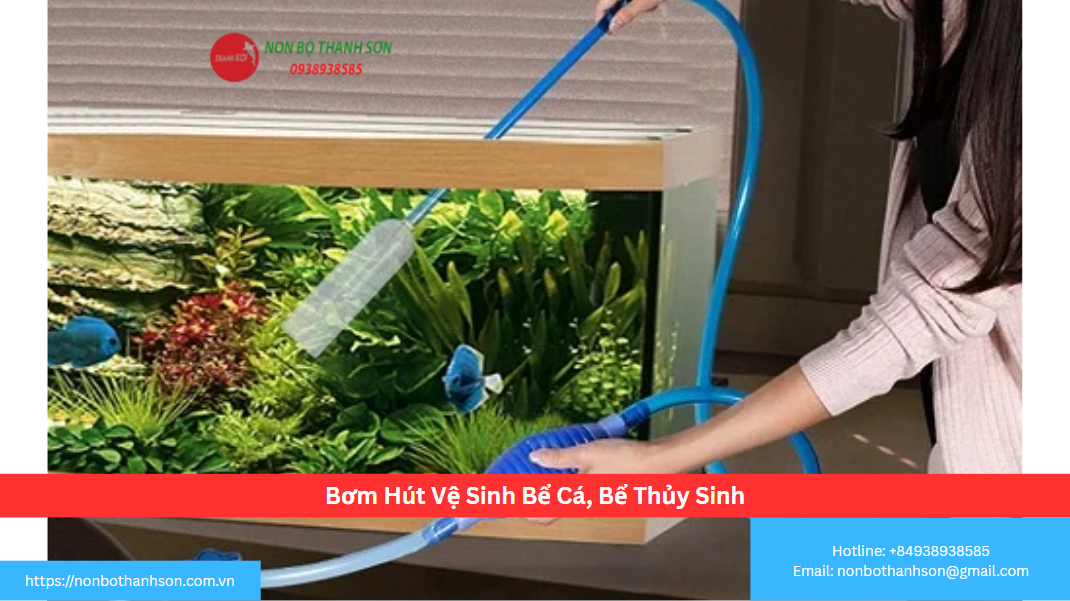 Bơm Hút Vệ Sinh Bể Cá: Bí Quyết Giữ Nền Sạch, Nước Trong Vắt