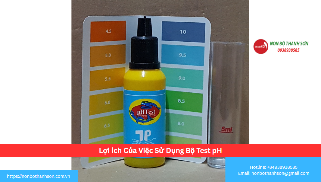 Lợi Ích Của Việc Sử Dụng Bộ Test pH