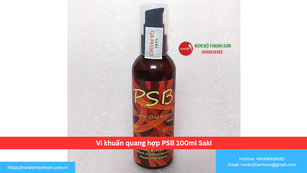 Vi Khuẩn Quang Hợp PSB Saki: "Đội Quân" Vi Sinh Tinh Nhuệ Cho Hồ Cá Trong Sạch