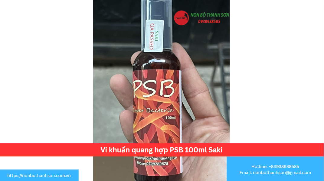 Những Công Dụng Vượt Trội Của PSB Saki