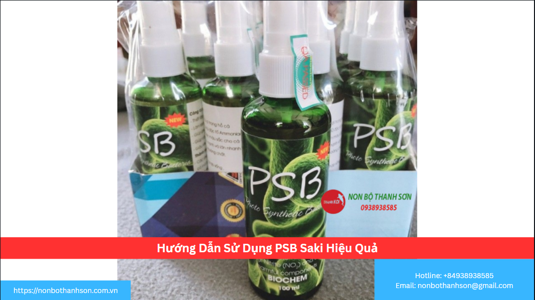 Hướng Dẫn Sử Dụng PSB Saki Hiệu Quả