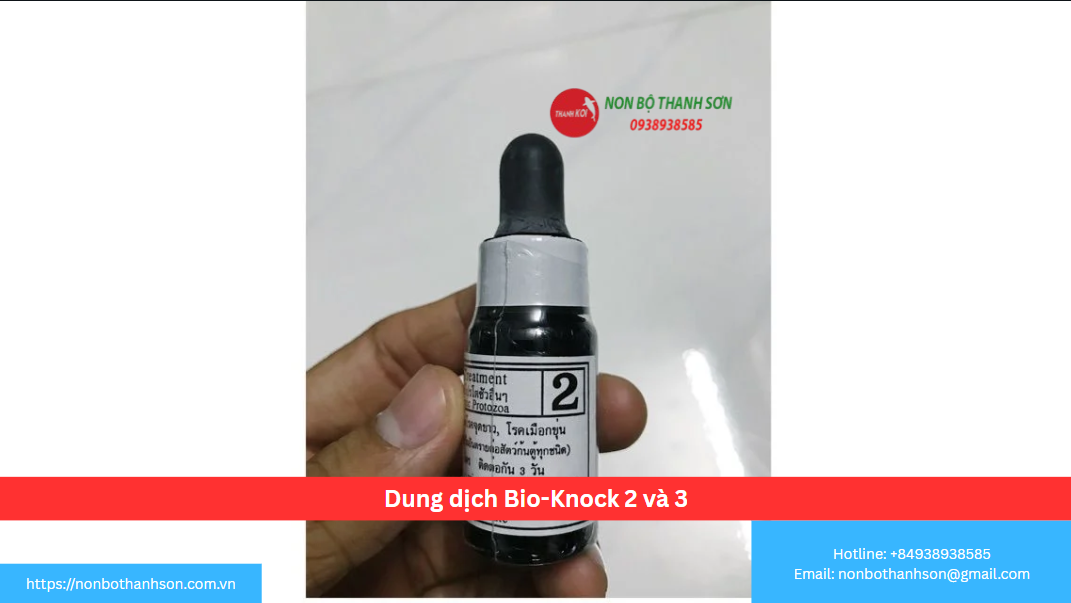 Bộ Đôi Bio-Knock 2 & 3: "Bác Sĩ Tại Gia" Cho Hồ Cá Cảnh Của Bạn