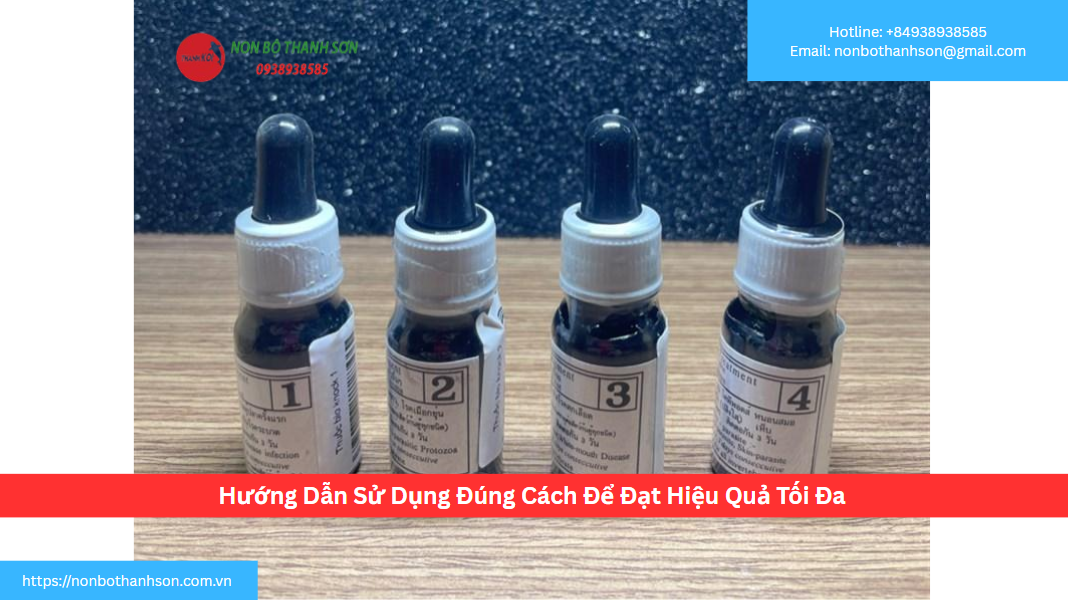 Hướng Dẫn Sử Dụng Đúng Cách Để Đạt Hiệu Quả Tối Đa