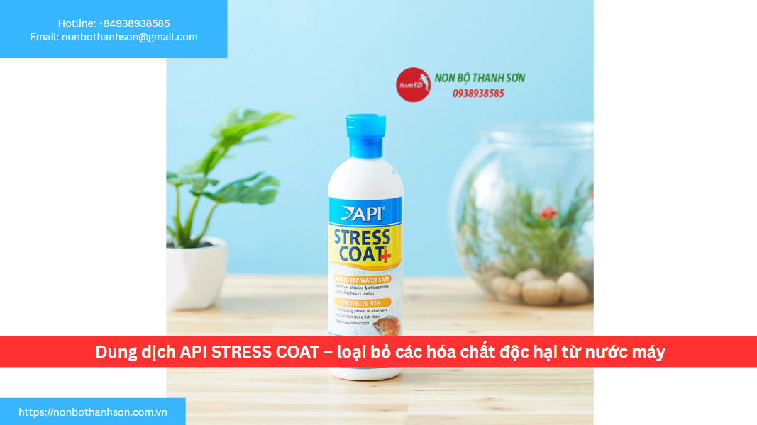 API STRESS COAT: "Áo Giáp Vô Hình" Bảo Vệ Cá Khỏi Độc Tố Nước Máy