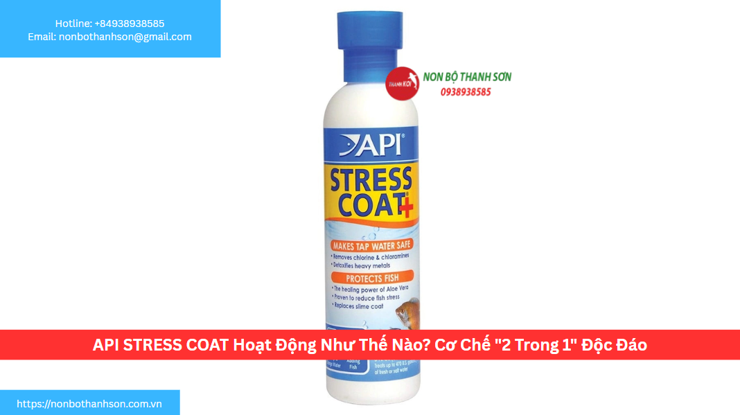 API STRESS COAT Hoạt Động Như Thế Nào? Cơ Chế "2 Trong 1" Độc Đáo