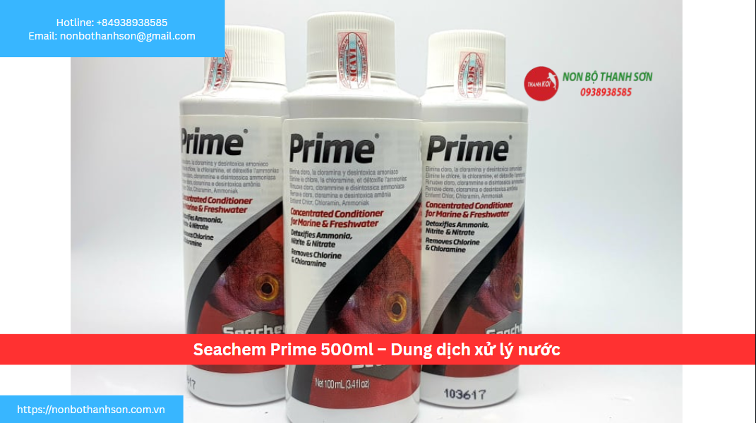 Seachem Prime: "Bảo Hiểm Tối Thượng" Cho Mọi Hồ Cá Cảnh