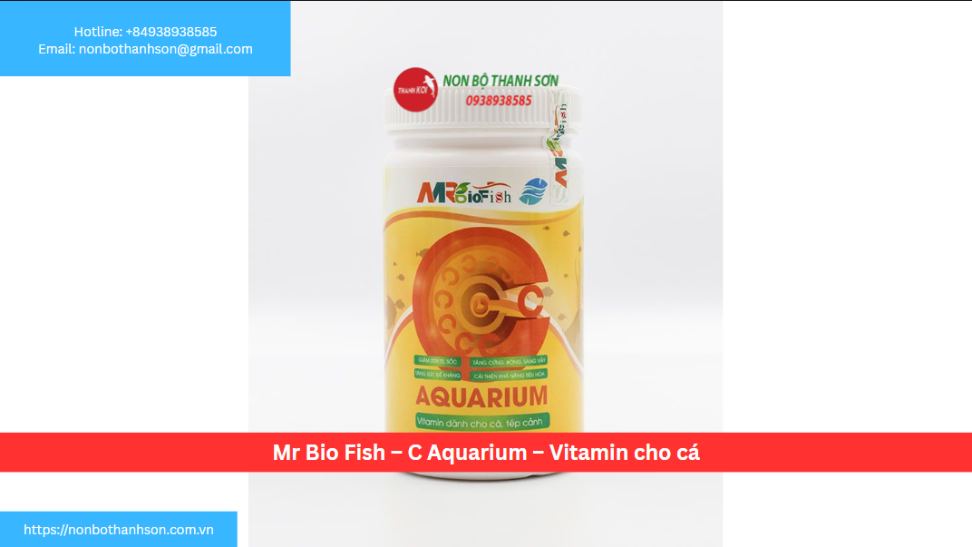 Mr Bio Fish C Aquarium: "Lá Chắn Vàng" Tăng Cường Sức Đề Kháng Cho Cá Cảnh