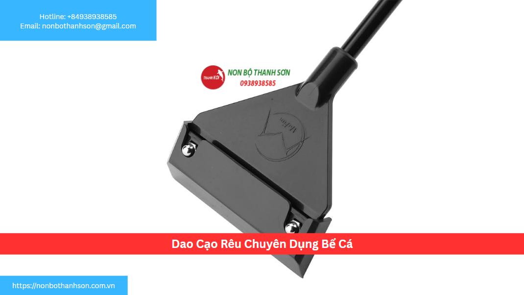 Dao Cạo Rêu Chuyên Dụng: Trả Lại Vẻ Đẹp Trong Suốt Cho "Mặt Tiền" Bể Cá