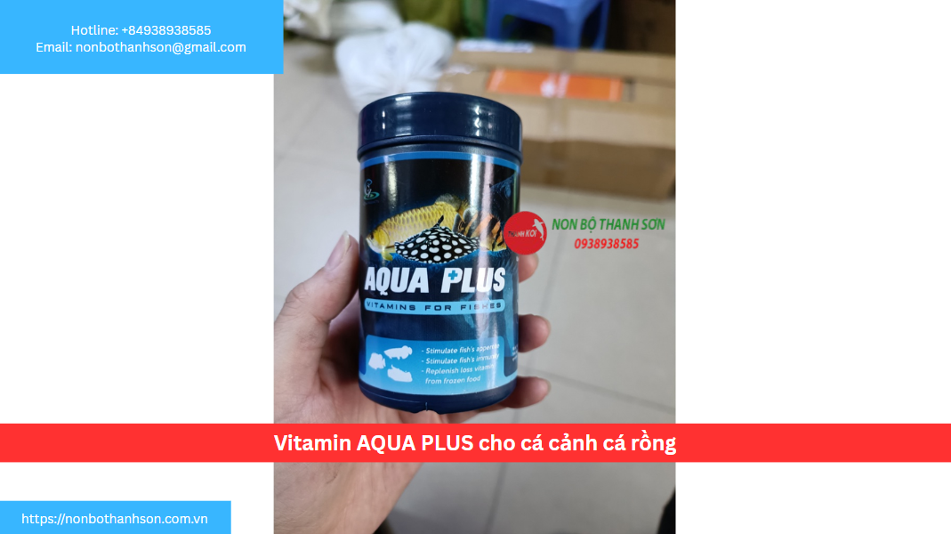 Vitamin AQUA PLUS: "Thần Dược" Kích Thích Sức Khỏe và Sắc Đẹp Toàn Diện Cho Cá Rồng