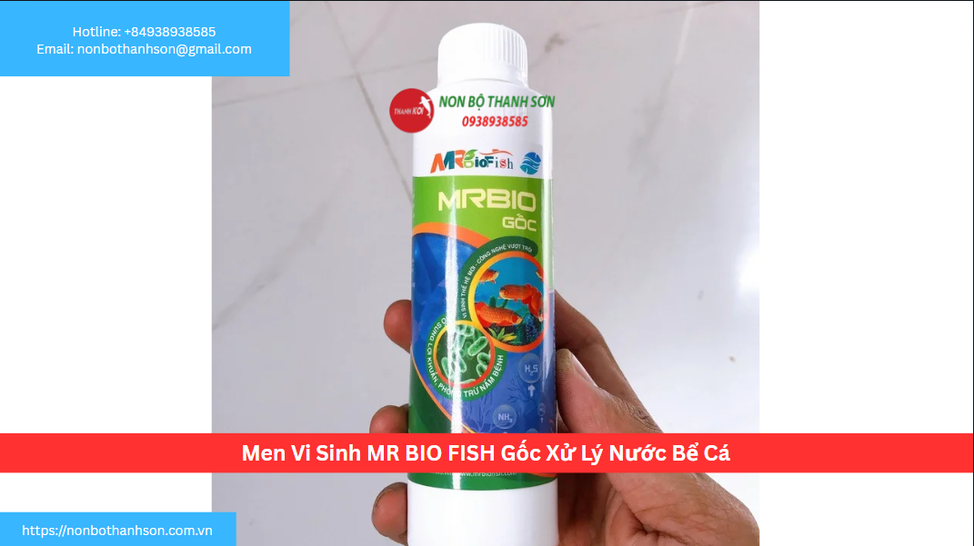 Men Vi Sinh Gốc Mr Bio Fish: Xây Dựng "Nền Móng" Vững Chắc Cho Hệ Sinh Thái Hồ Cá
