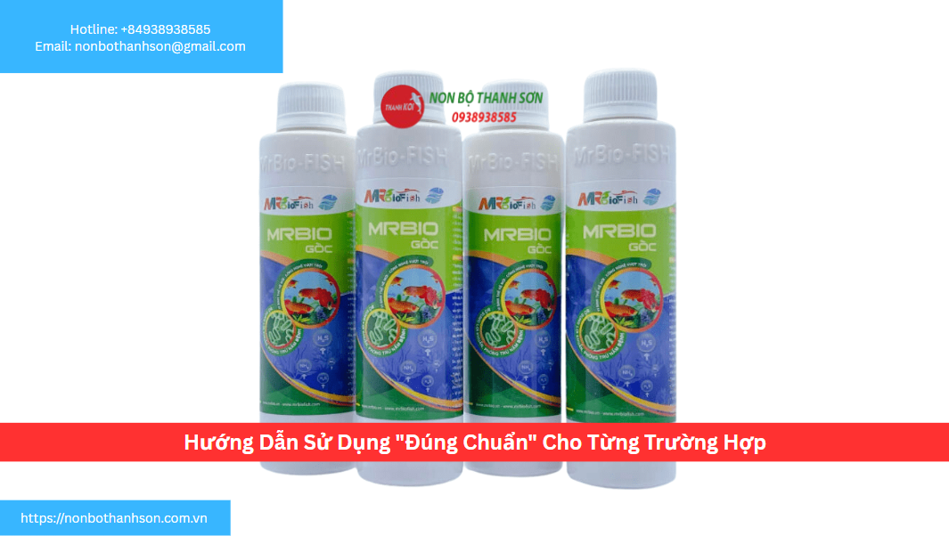 Hướng Dẫn Sử Dụng "Đúng Chuẩn" Cho Từng Trường Hợp