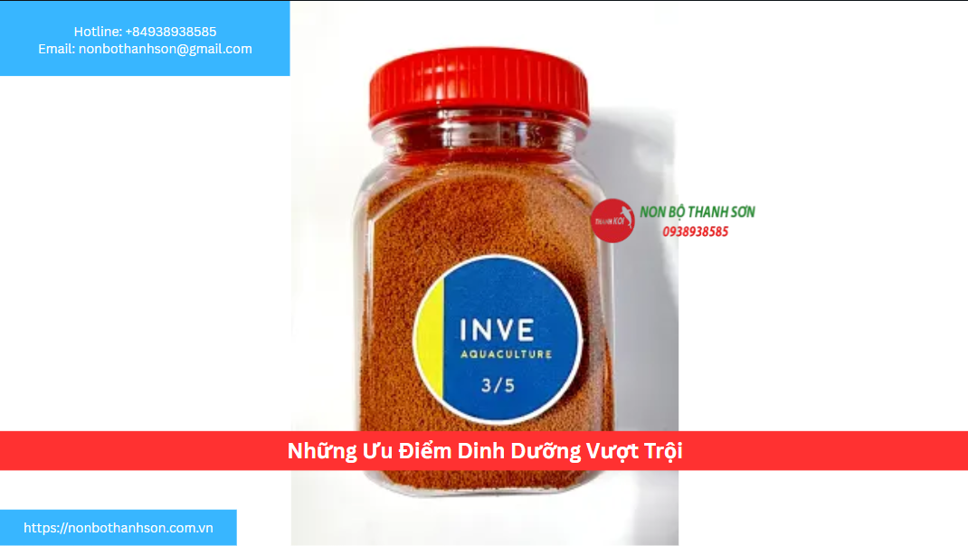 Những Ưu Điểm Dinh Dưỡng Vượt Trội