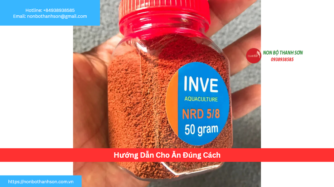 Hướng Dẫn Cho Ăn Đúng Cách