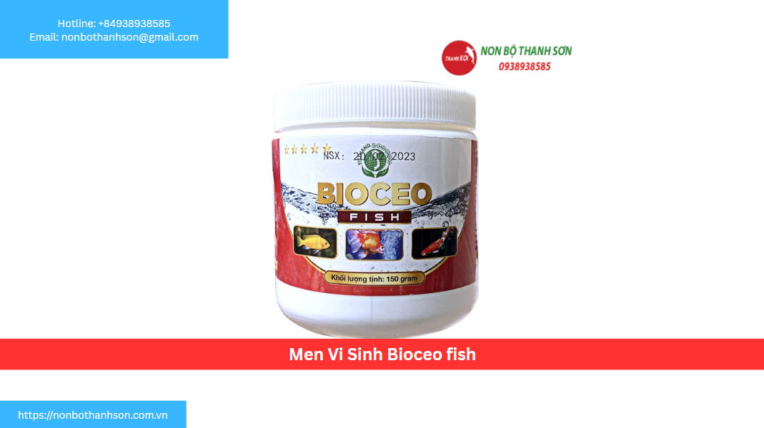 Men Vi Sinh Bioceo Fish: Giải Pháp Sinh Học Toàn Diện Cho Hồ Cá Koi Đẳng Cấp