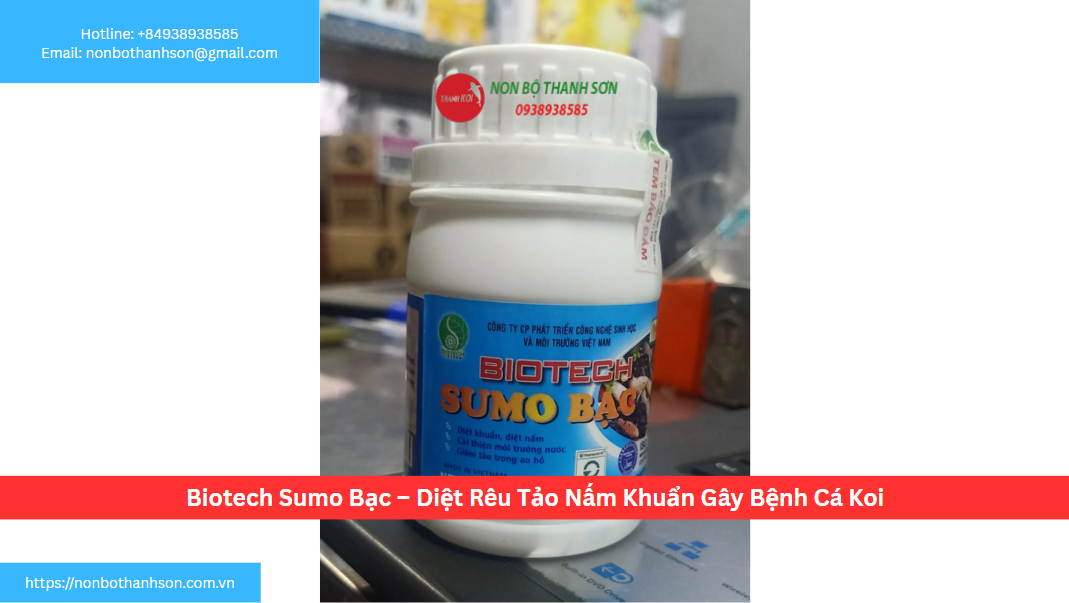 Biotech Sumo Bạc: "Vũ Khí" Toàn Diện Đánh Bại Rêu Tảo, Nấm và Vi Khuẩn