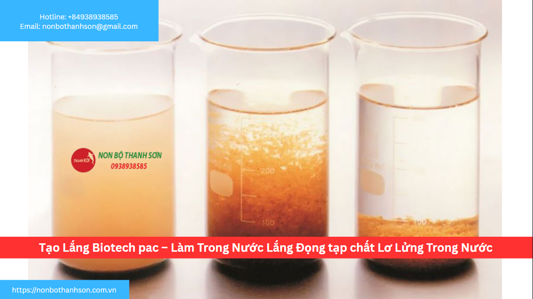 Tạo Lắng Biotech PAC: Giải Pháp "Cấp Cứu" Cho Hồ Cá Bị Đục