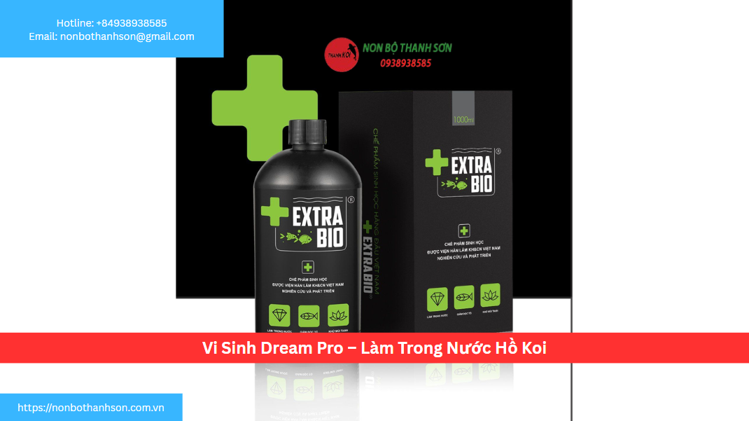 Vi Sinh Dream Pro: Biến "Giấc Mơ" Về Một Hồ Koi Trong Suốt Thành Hiện Thực