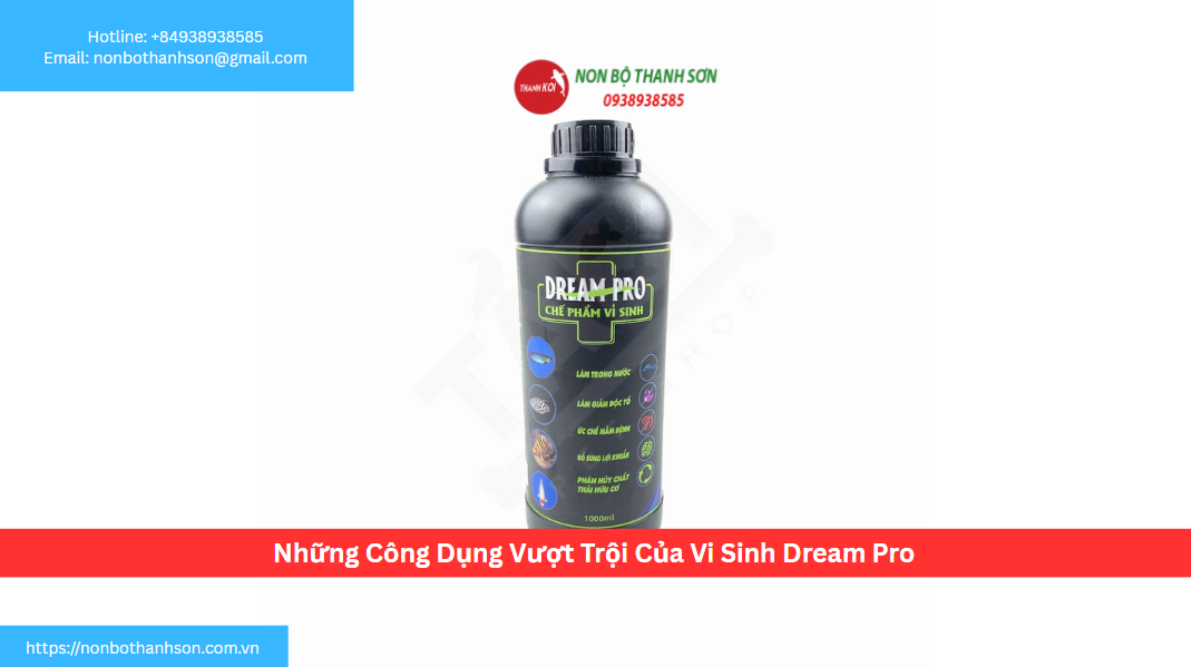Những Công Dụng Vượt Trội Của Vi Sinh Dream Pro