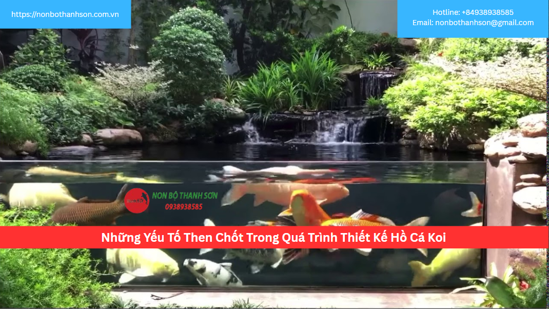 Những Yếu Tố Then Chốt Trong Quá Trình Thiết Kế Hồ Cá Koi