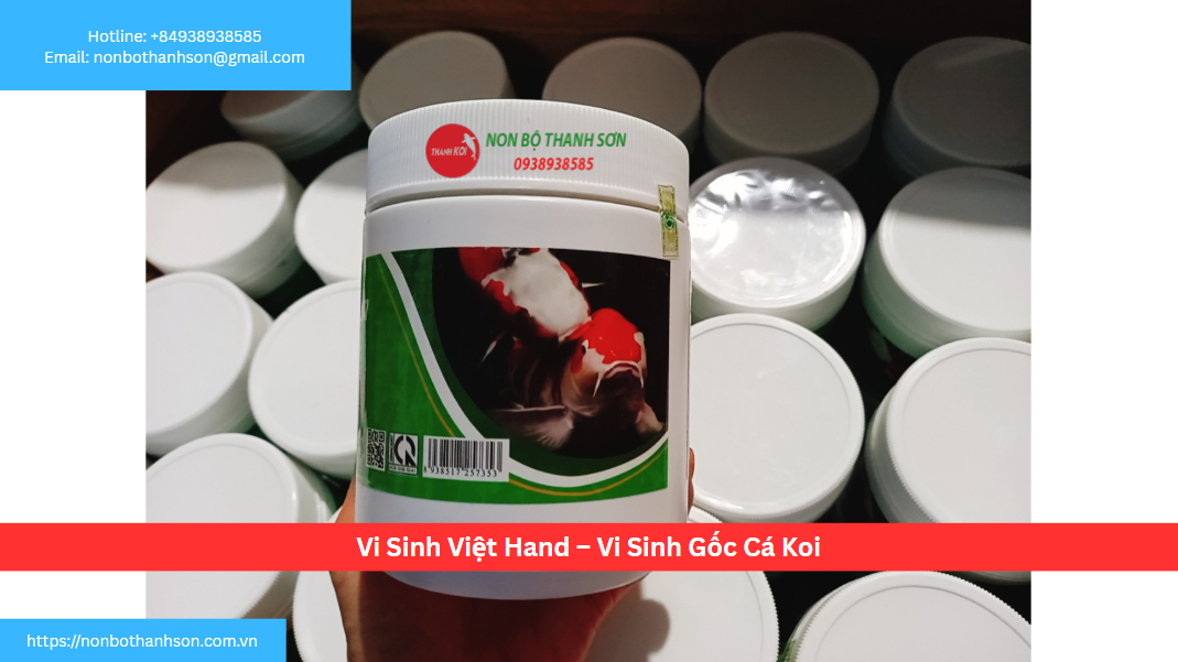 Vi Sinh Gốc Việt Hand: "Viên Gạch Nền Móng" Cho Một Hệ Sinh Thái Hồ Koi Bền Vững