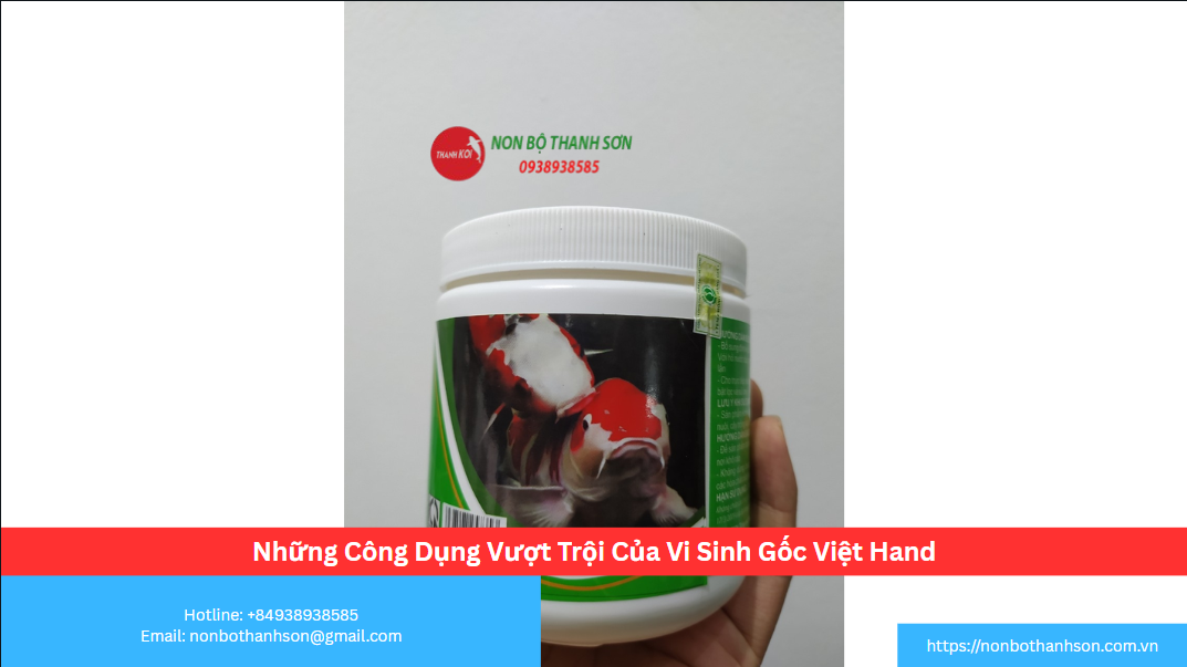 Những Công Dụng Vượt Trội Của Vi Sinh Gốc Việt Hand