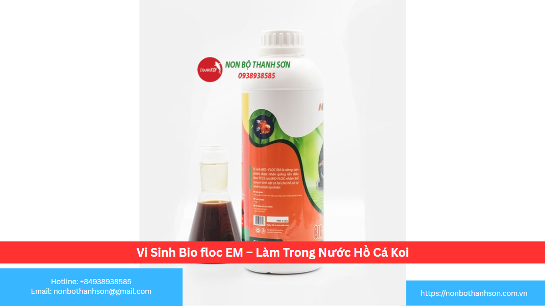 Vi Sinh Bio Floc EM: Công Nghệ Đột Phá Cho Làn Nước Hồ Koi Trong Suốt