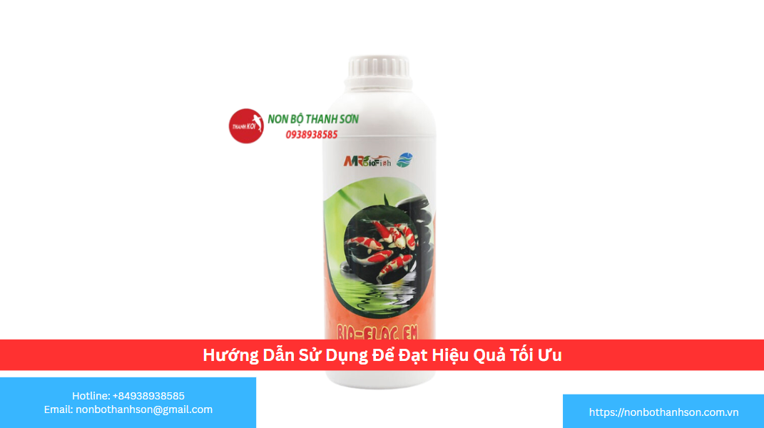 Hướng Dẫn Sử Dụng Để Đạt Hiệu Quả Tối Ưu