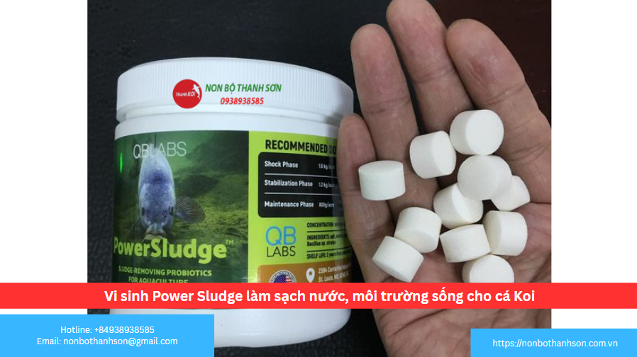 Vi Sinh Power Sludge: "Cỗ Máy Sinh Học" Đánh Bay Bùn Đáy Hồ Koi