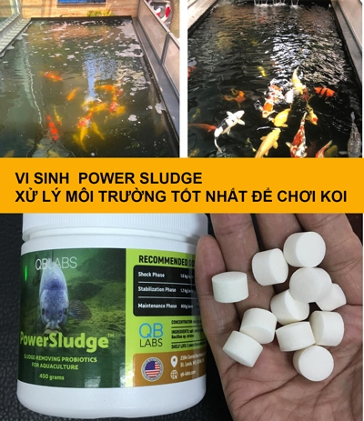 Những Công Dụng Vượt Trội Của Vi Sinh Power Sludge