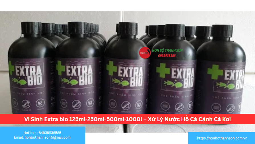 Vi Sinh Extra Bio: "Nước Thần" Làm Trong Nước Tức Thì Cho Mọi Hồ Cá