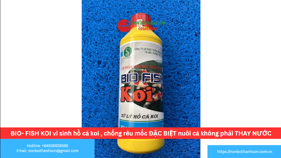 BIO-FISH KOI: Giải Mã "Bí Mật" Nuôi Cá Koi Không Cần Thay Nước