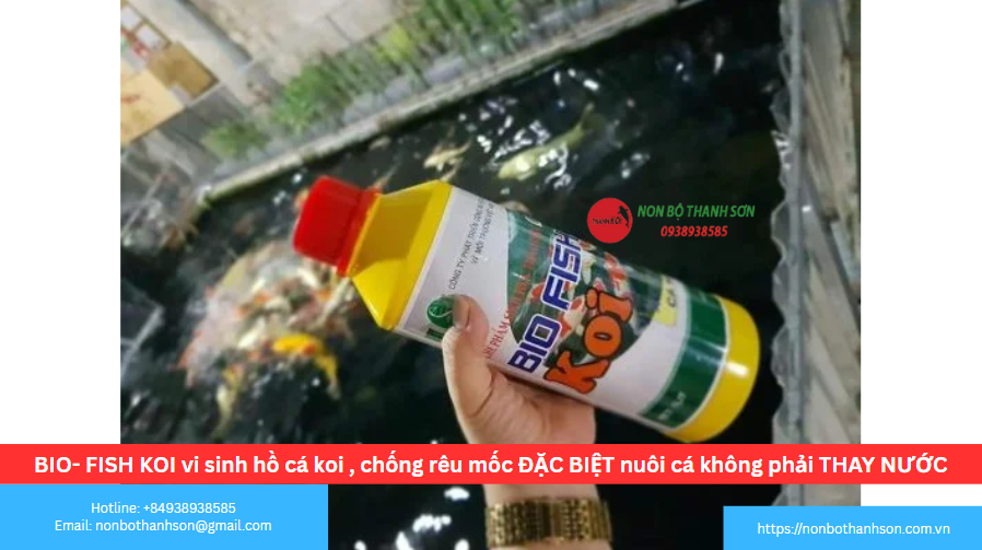 Giải Mã Tuyên Bố "Không Cần Thay Nước"