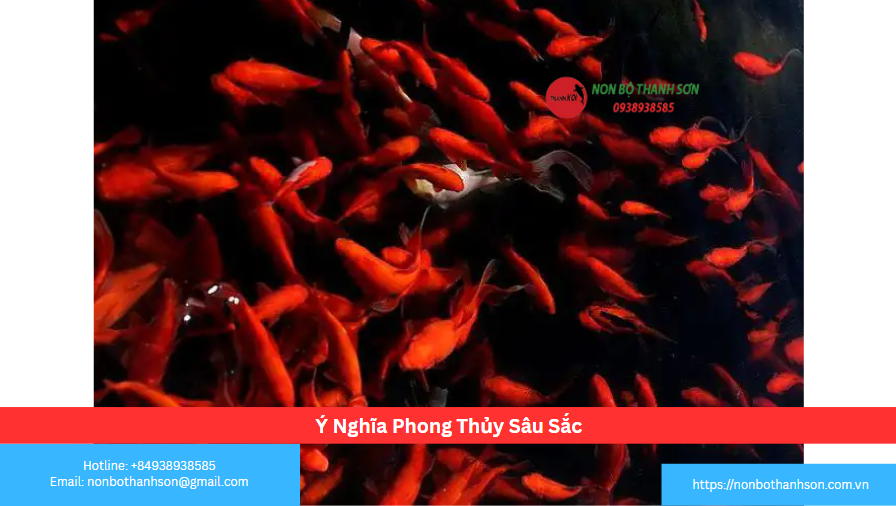 Ý Nghĩa Phong Thủy Sâu Sắc